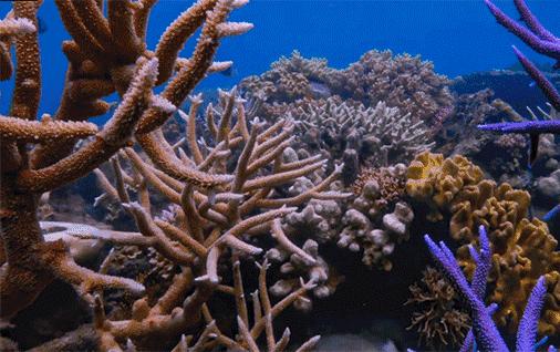 李湘同款面膜法国免洗面膜,v脸提拉面膜李湘推荐