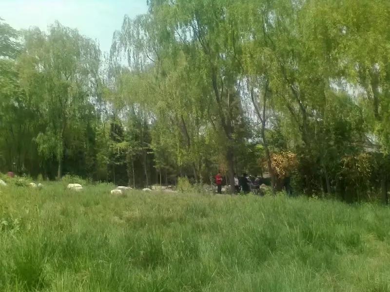 楼观台国家森林公园竹林,楼观台国家森林公园海拔