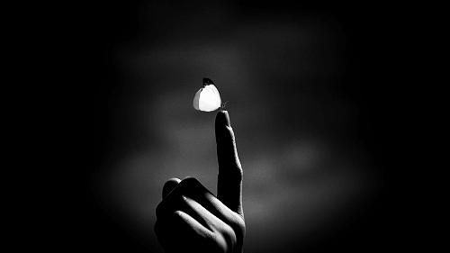 一支“神奇”的芦荟膏：谁绊住了你的幸福