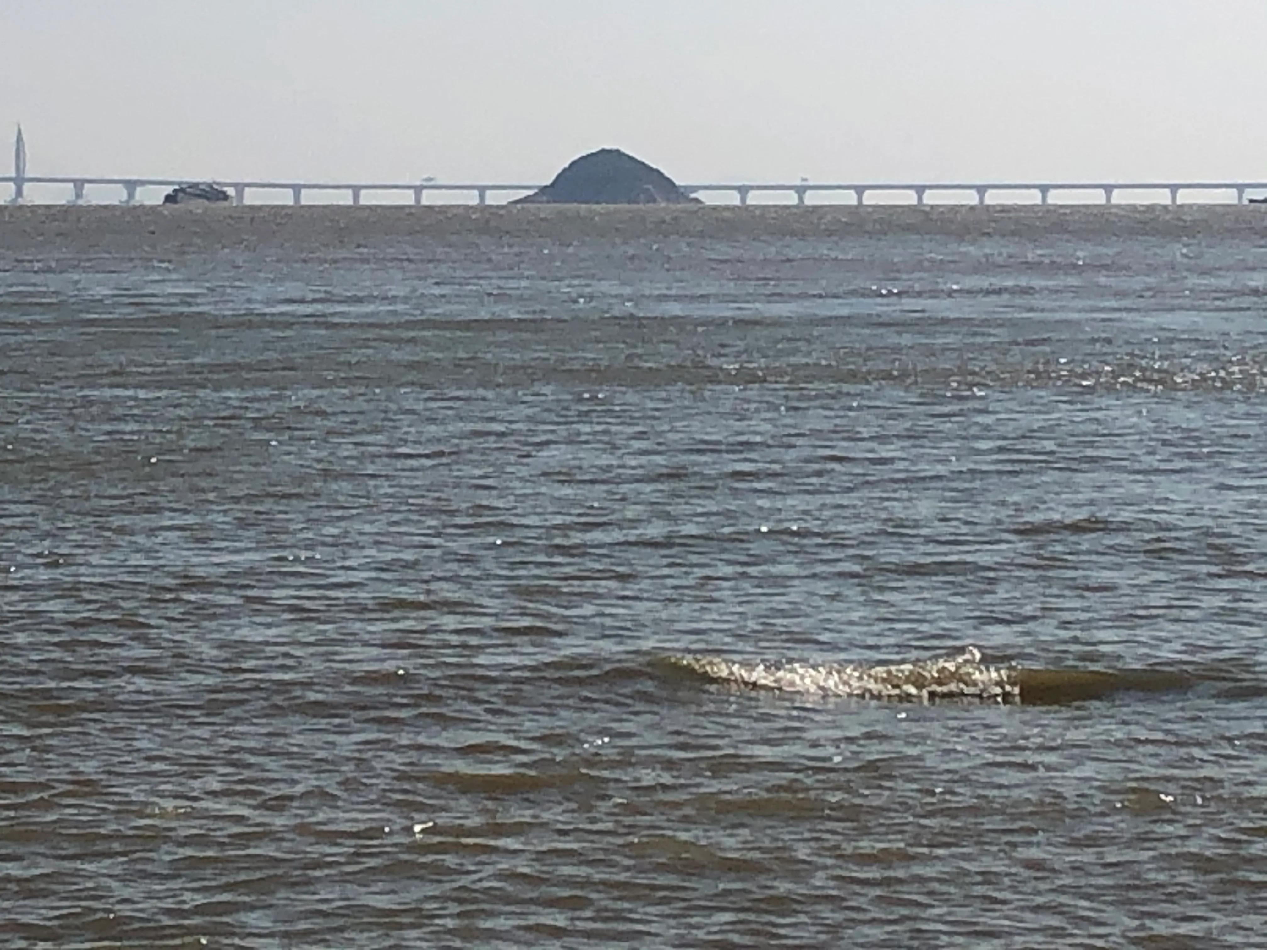 珠海野狸岛退潮时间,珠海冬日游