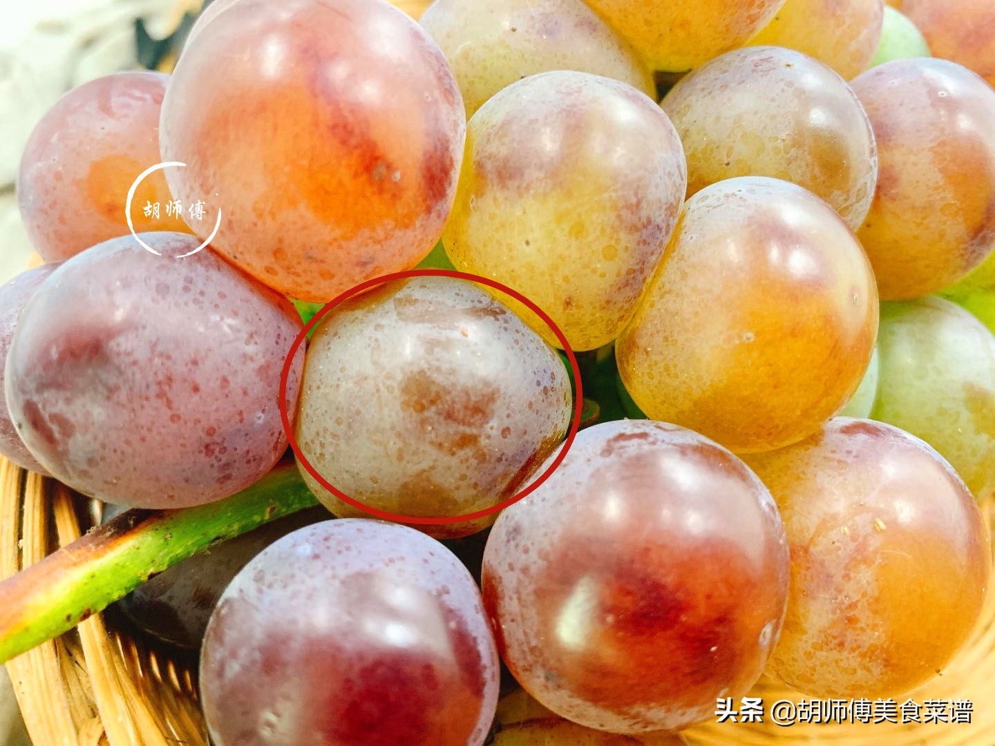 买葡萄要买哪种,买葡萄高情商