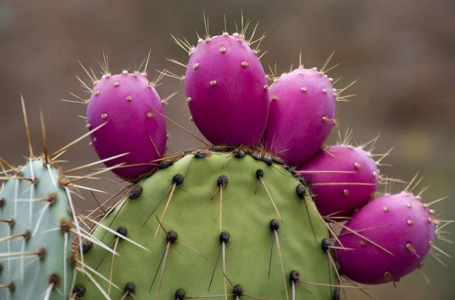 做人不要太锋芒毕露学会低调处事,为人处世只要懂得这三条规则