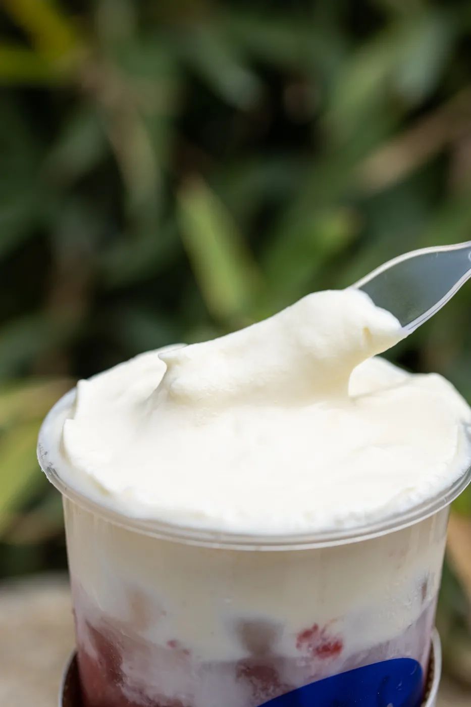 深圳外卖下午茶推荐,杭州必点外卖下午茶