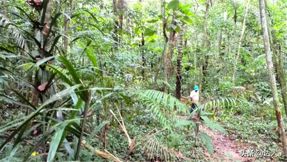 小天独家的全部视频,小天全国自驾