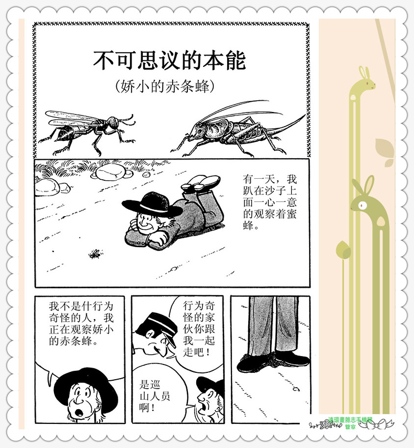 昆虫记法布尔动画片,昆虫记法布尔全套
