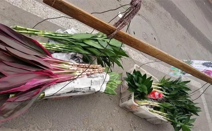 刚买的花，发蔫落苞加黄叶！为什么呢？多半是放错了位置