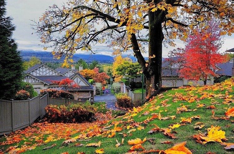 土地上的古诗大全,土地上的诗