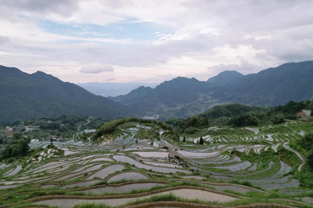 大山里的美女老板：不惧流言种田腌酱菜，一年卖出1000万