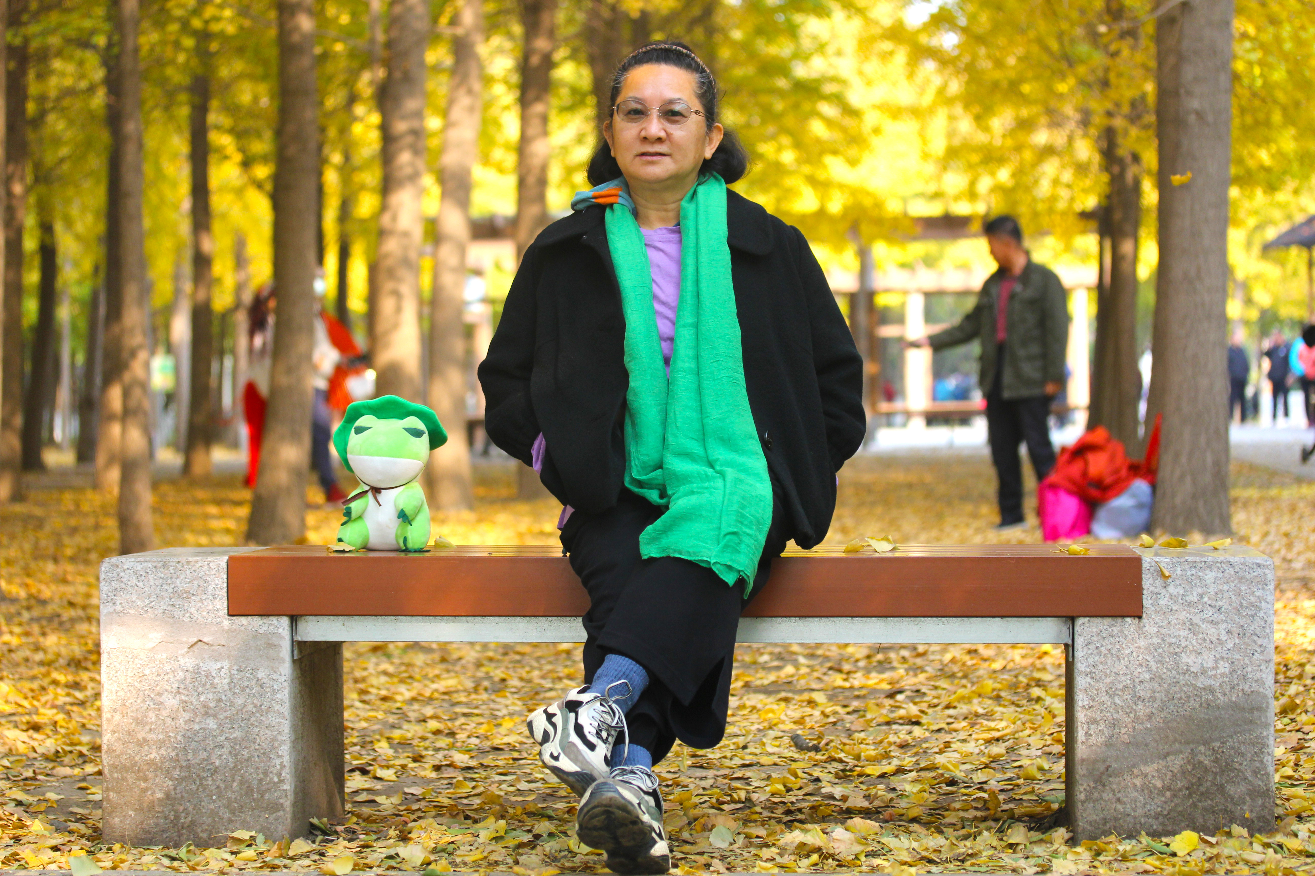 北京小众湿地公园免费,北京看银杏树林