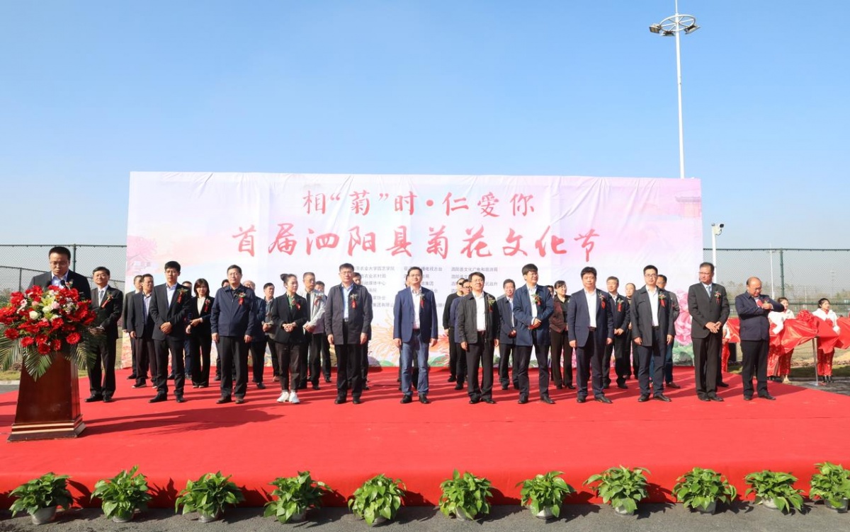首届菊花节开幕,第三届泗阳菊花文化节