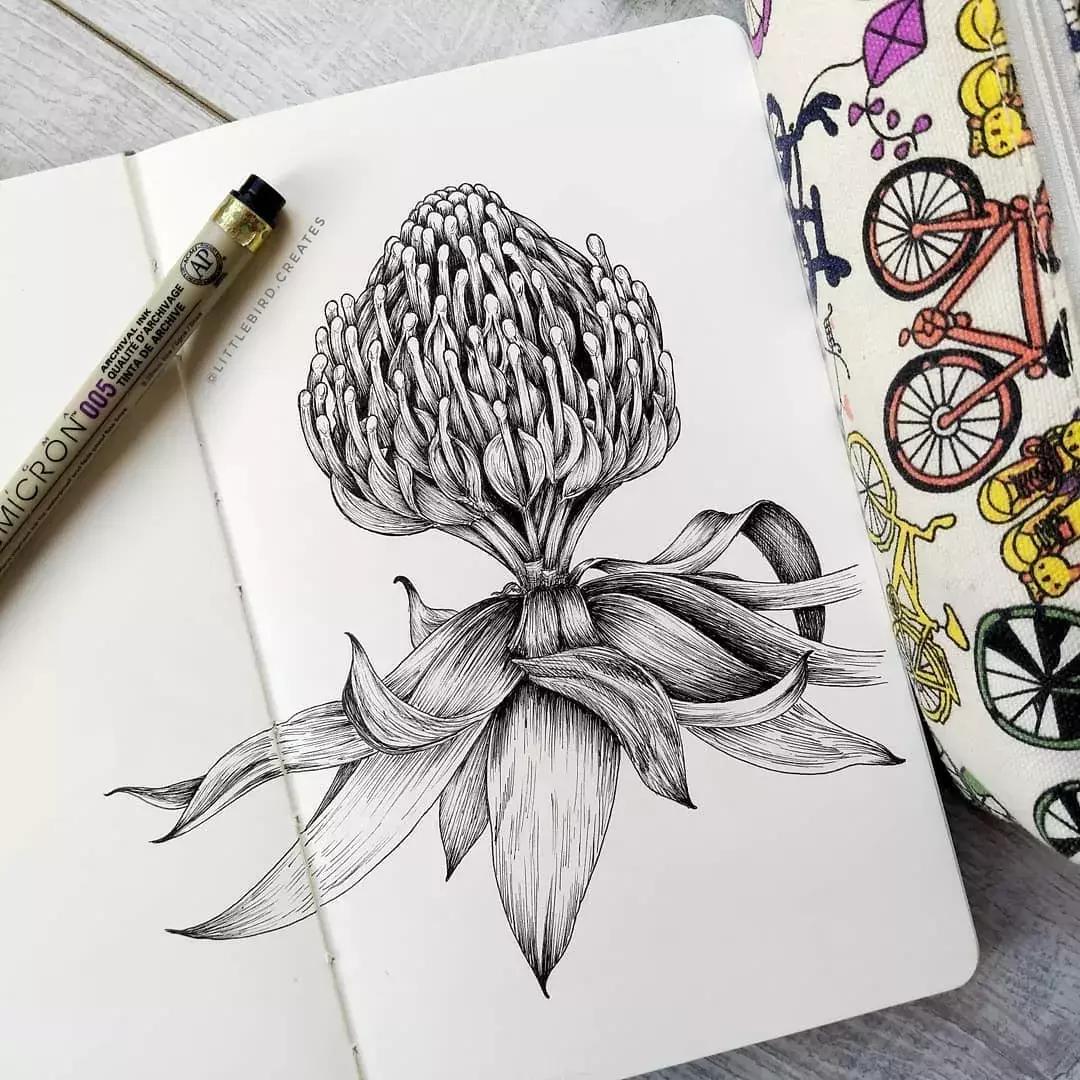 这一波手绘太给力了,绝对让你练完不厉害都难