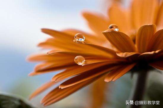 手机摄影光圈怎么调,摄影光圈快门基础知识