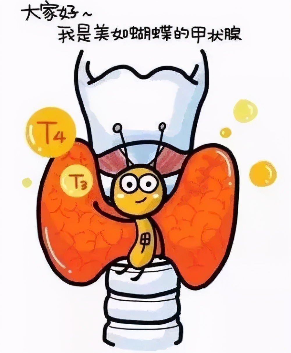 甲减和中医的气血不足的区别,甲减会导致气血虚嘴唇发白吗