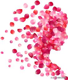 38抢从化宝趣玫瑰世界1大1小票赏春赏花赏美景不负*光春**不负卿