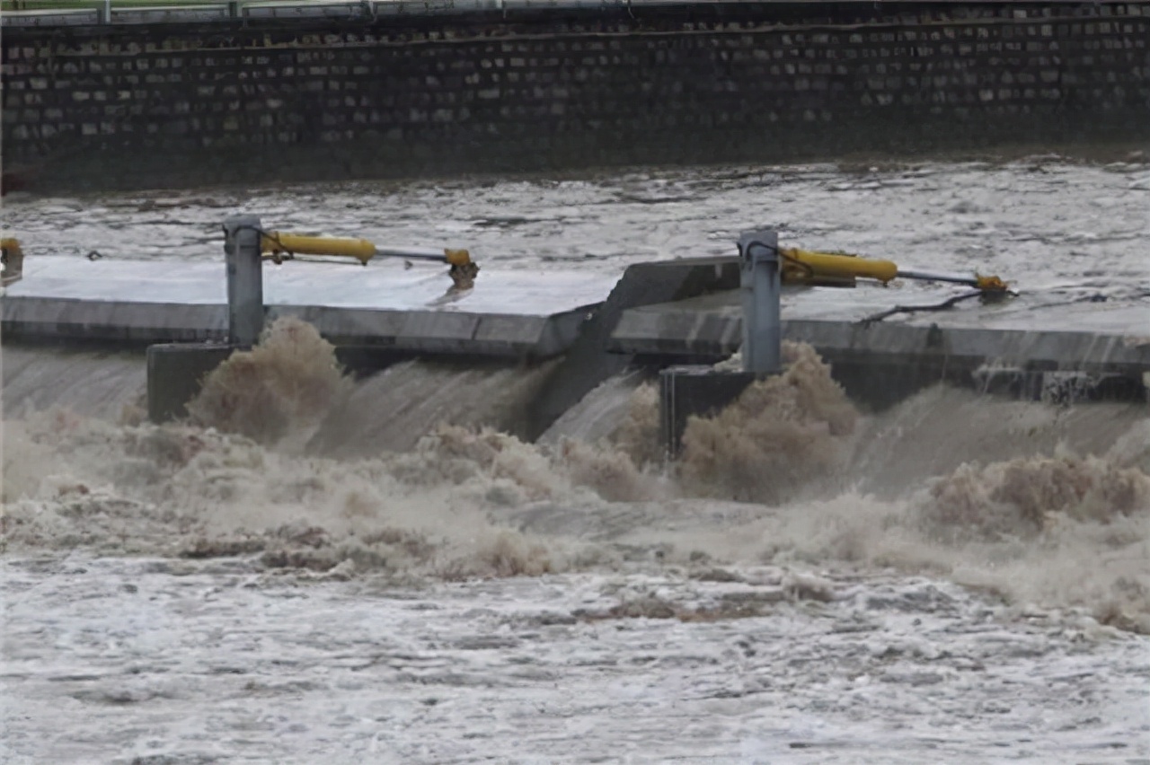 从受人追捧到沦为过街老鼠，公知如今的惨状，是什么原因造成的？