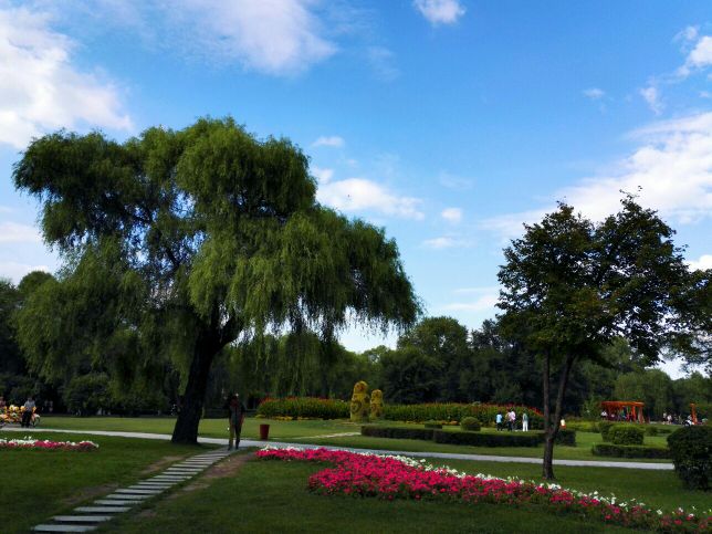 哈尔滨市内环境,哈尔滨一年四季的现状