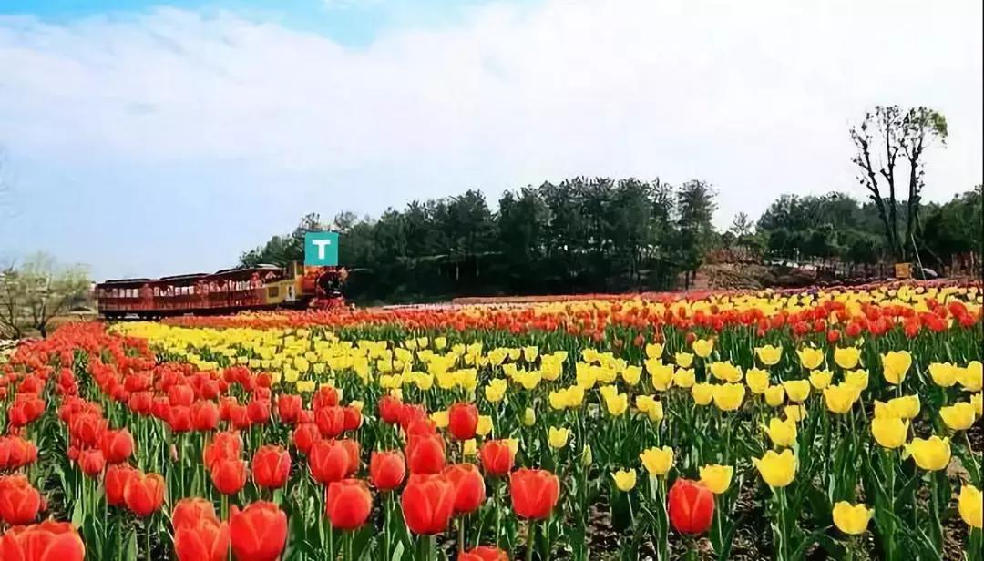 在武汉黄陂不好吗,武汉黄陂去哪里玩比较好