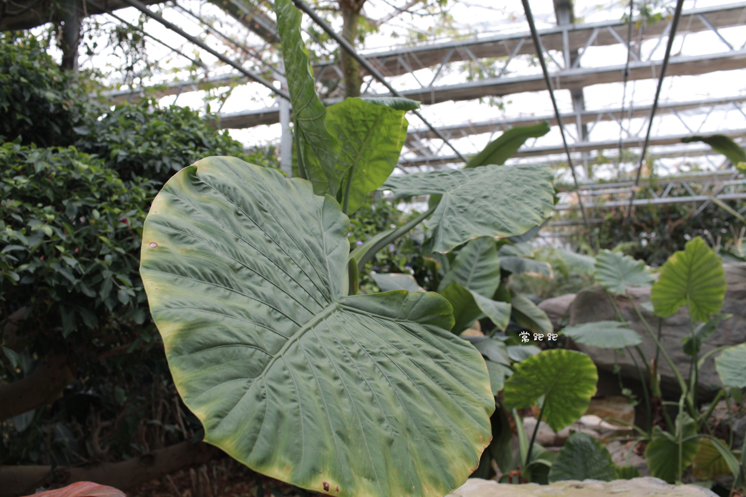 倚山傍水好地方,倚山傍水