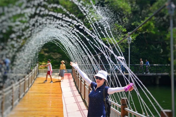 岳阳石牛寨风景区游玩攻略一日游,岳阳石牛寨风景区门票多少钱