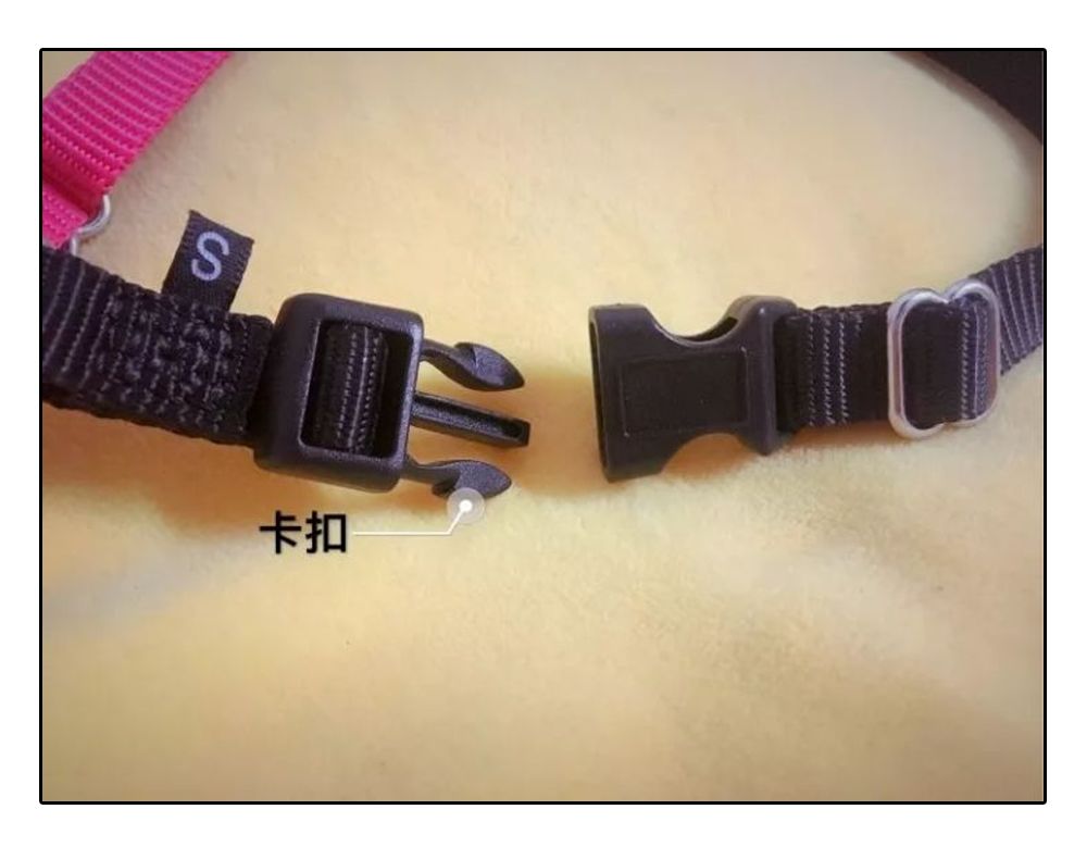 铲屎官安全注意事项,铲屎官遇到危险土狗