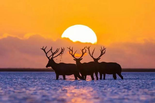 江苏省有哪些5a景区,江苏省有几个5A景区