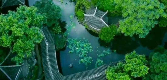 三伏天即将来袭冬病夏治正当时,今日入伏专家提醒伏天更要防寒