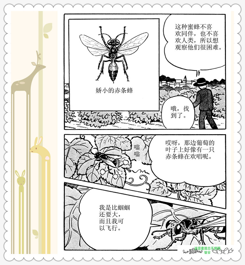 昆虫记法布尔正版全集,昆虫记法布尔阅读答案