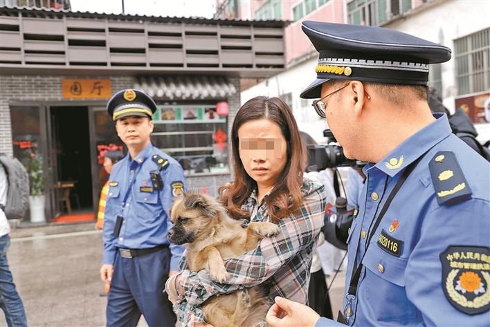 深圳看到流浪狗怎么救助,深圳流浪狗救助电话是多少