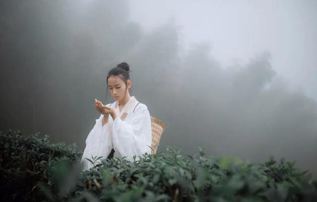 茶道本身的境界,茶道的真实境界