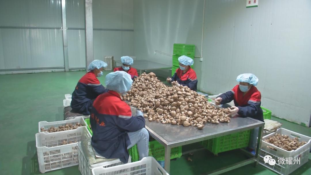 德祥实业食用菌生产加工,德祥香菇