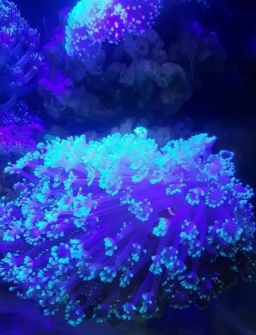 大学生1000元在宿舍开缸，还贴“禁止手碰”的标识，担忧舍友关系