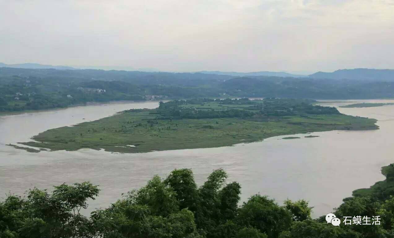 入渝第一岛中坝岛,长江入渝第一镇朱沱镇