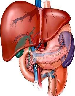 比乙肝厉害的肝病是什么,甲肝和乙肝丙肝的区别哪个危害大