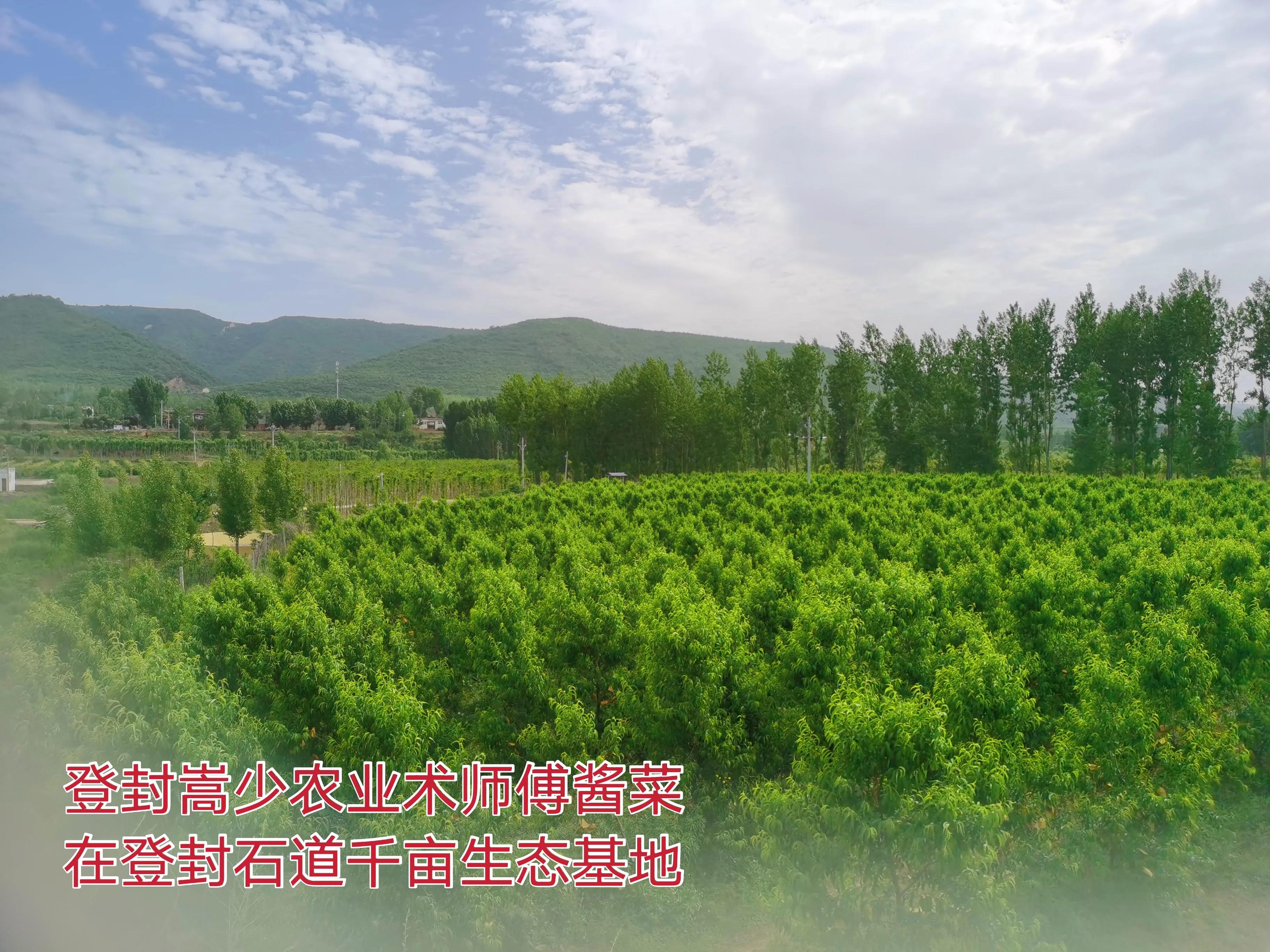 朝阳沟的时代特点,朝阳沟是一代人的回忆