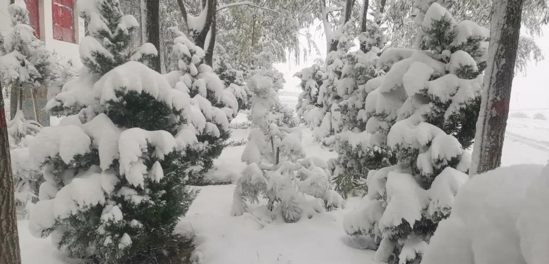 平凉崆峒区四路车现在停运了吗,平凉长途客车停运了吗
