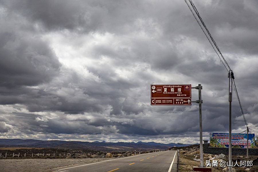 宸濊タ楂樺師澶ц崏鍘熺殑璺笂鐓х墖,闈掕棌楂樺師涓婄殑鑽夊師闆北椋庢櫙