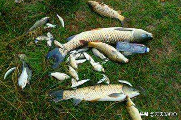 串钩钓鱼技巧详细教程,串钩钓鱼最佳方法和技巧