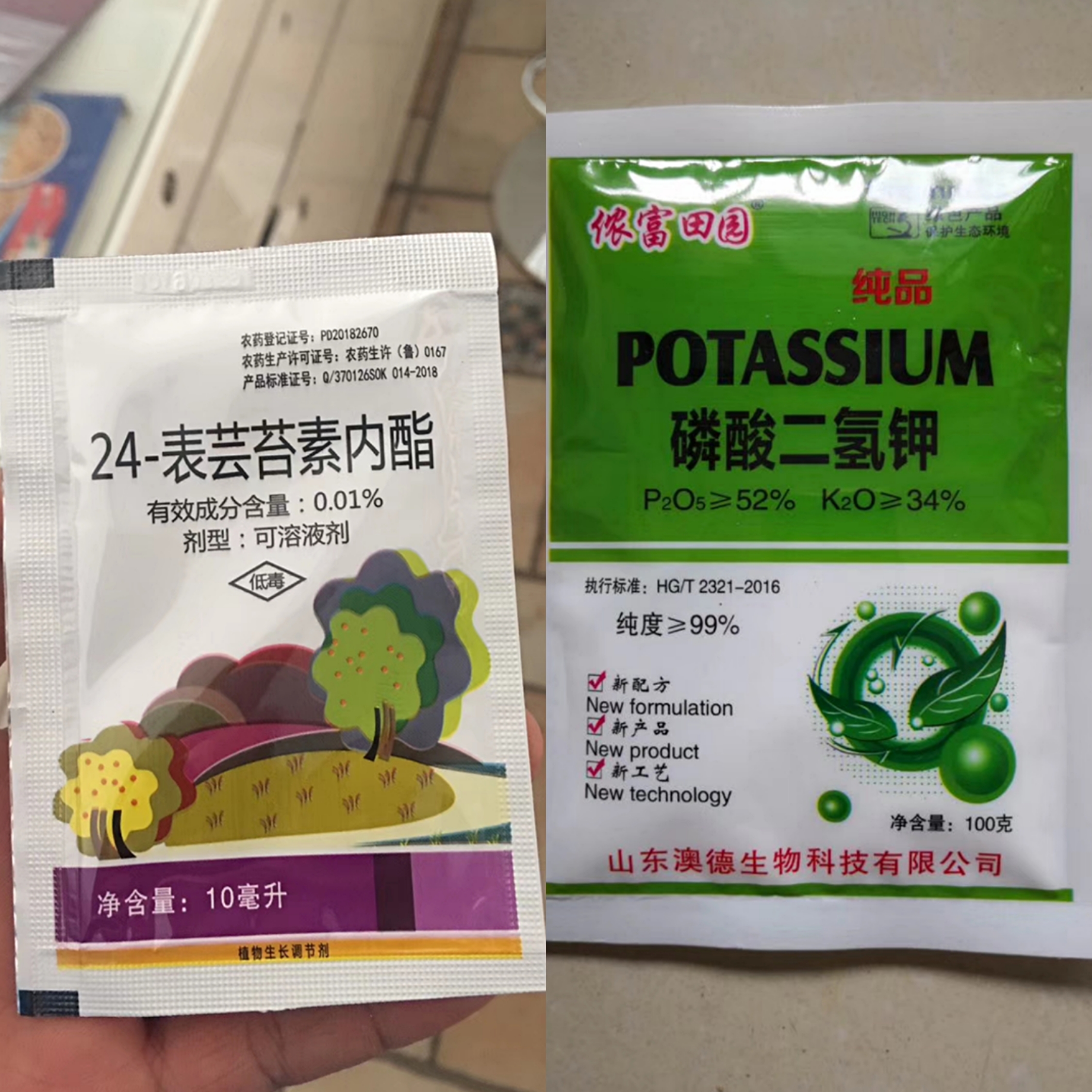 低温寡照玉米不长怎么办？4大补救措施帮你减少损失