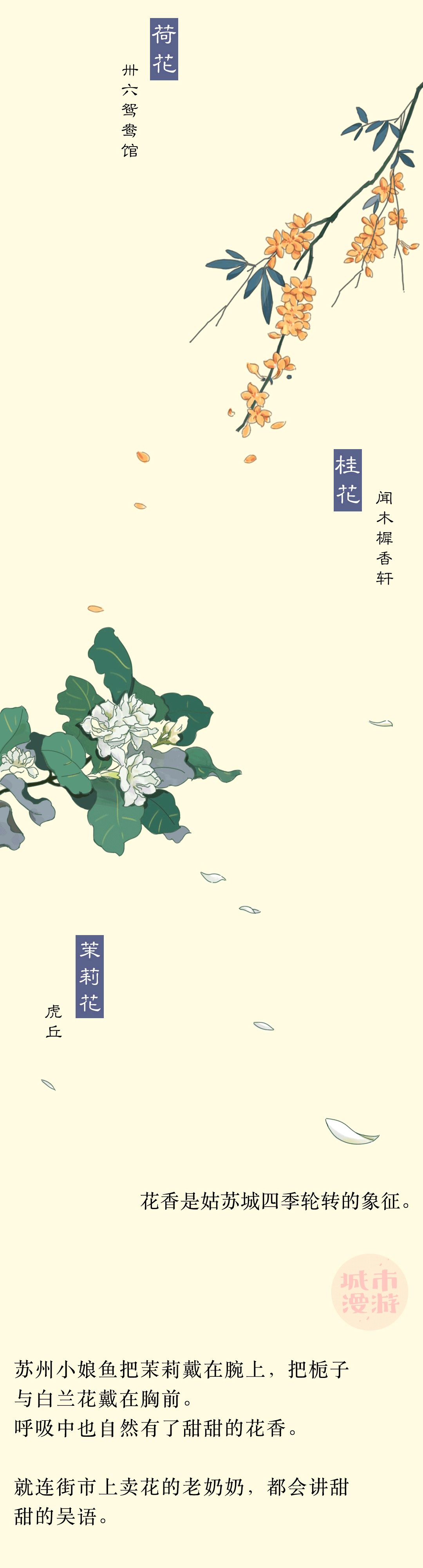 苏州女孩,天下第一甜