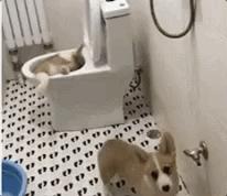 kill有什么特别含义,kill有什么特殊含义