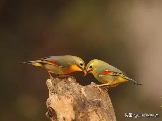 今天是6.4,夫妻日,百年一遇的吉祥日子,送给天下所有的夫妻