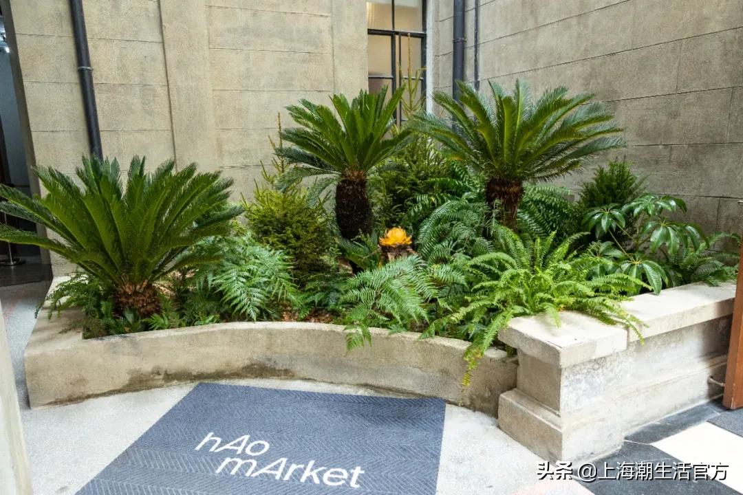 时髦精都在逛的hAomArket好市，一站式承包你的冬日小众好物