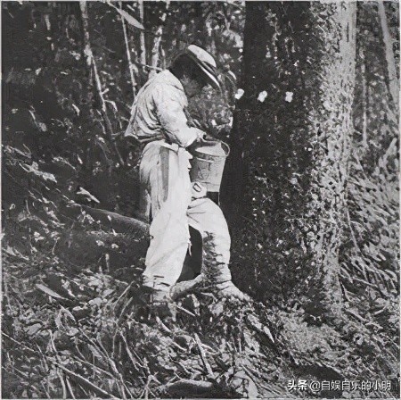 巴西足球有多无解,巴西为什么不能没有足球