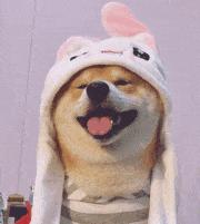 相见恨晚的7个app,10个让你相见恨晚的app解析