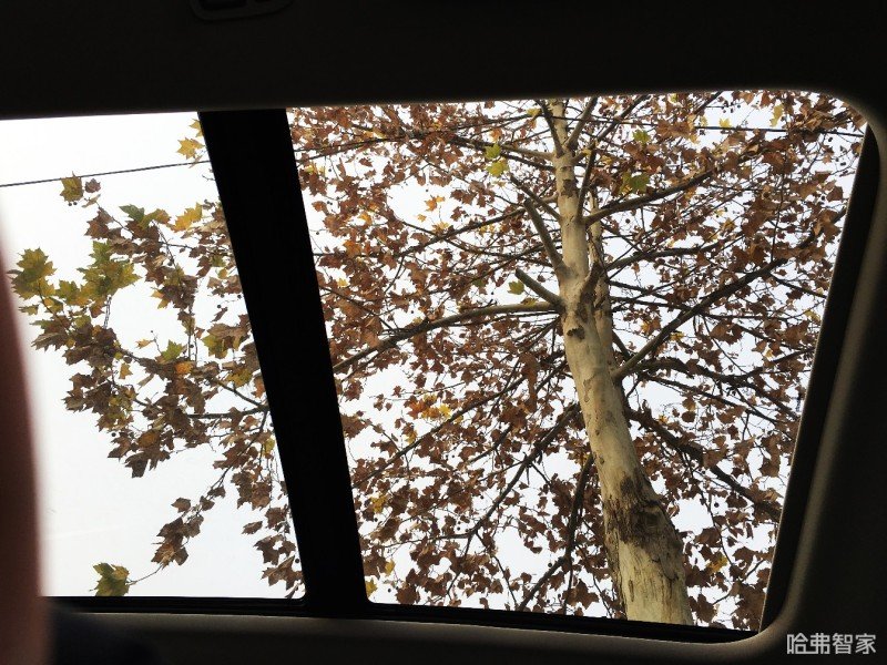 2021款哈弗f7试驾体验1.5t,沉浸式试车哈弗f7