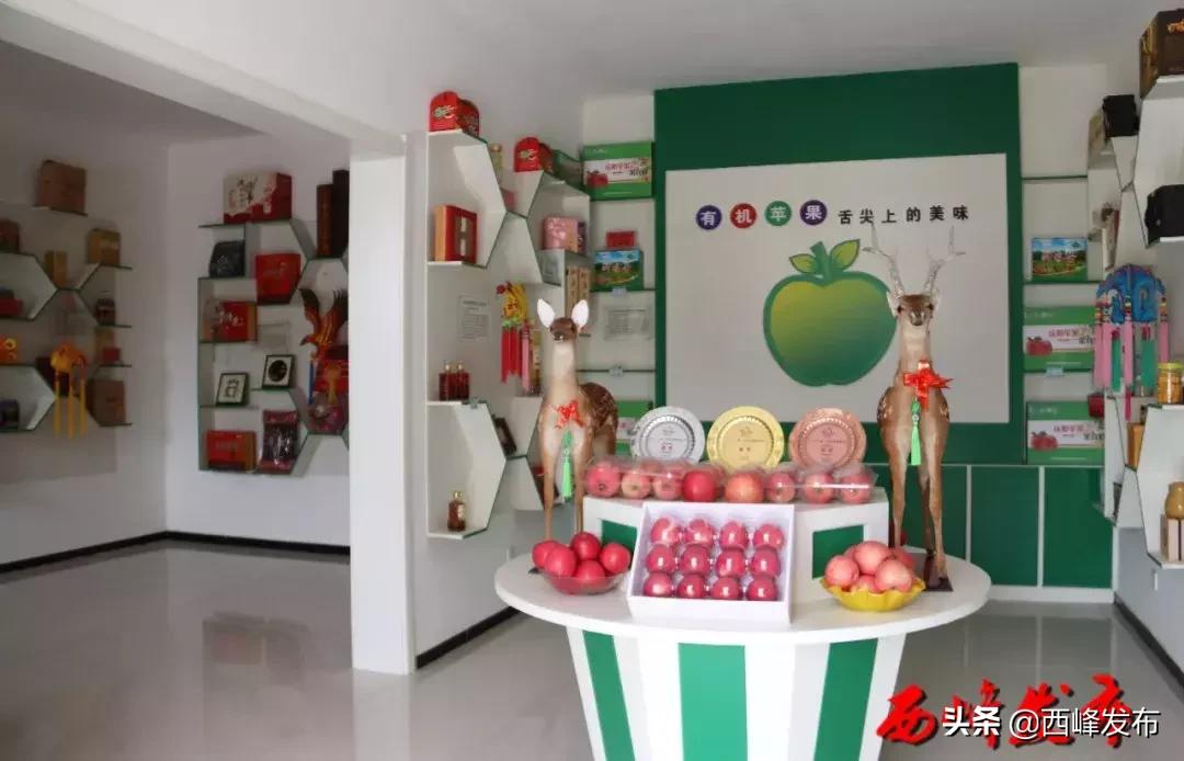 聚焦电商2015,聚焦电商