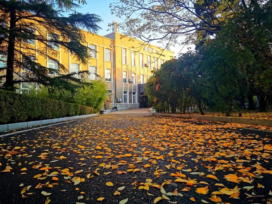 大连海事大学和辽宁省哪个级别高,大连海事大学辽宁省大学排名