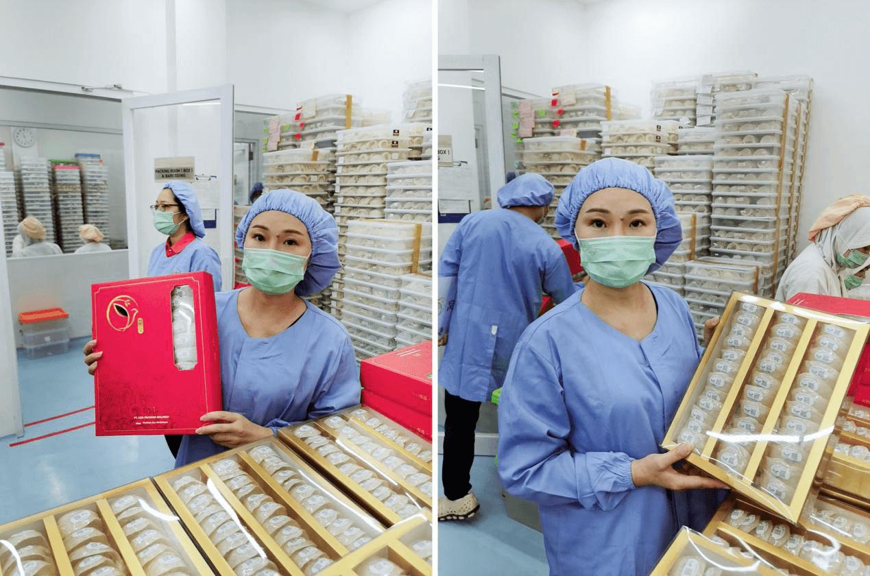 印尼产的燕窝是真的吗 (燕窝最好的产地为什么是印尼)