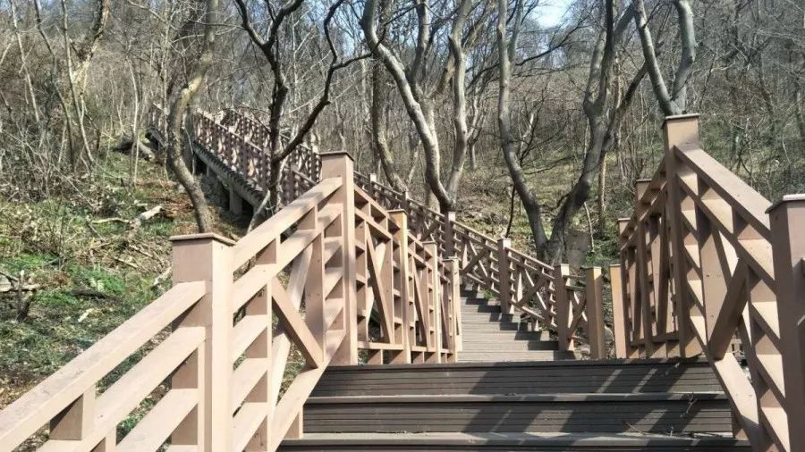 “发展高质量，浦口在行动”之三：文化育民篇