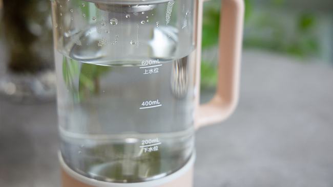 多功能玻璃养生壶推荐,迷你养生壶哪个品牌值得购买